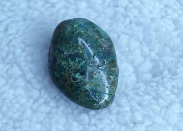 Chrysocolle - Extra - Roulée – Image 2