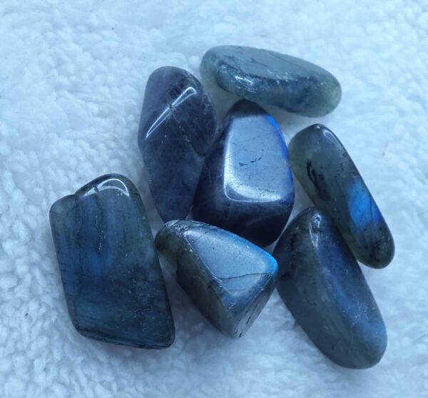 Labradorite Bleue - Extra - Roulée – Image 3